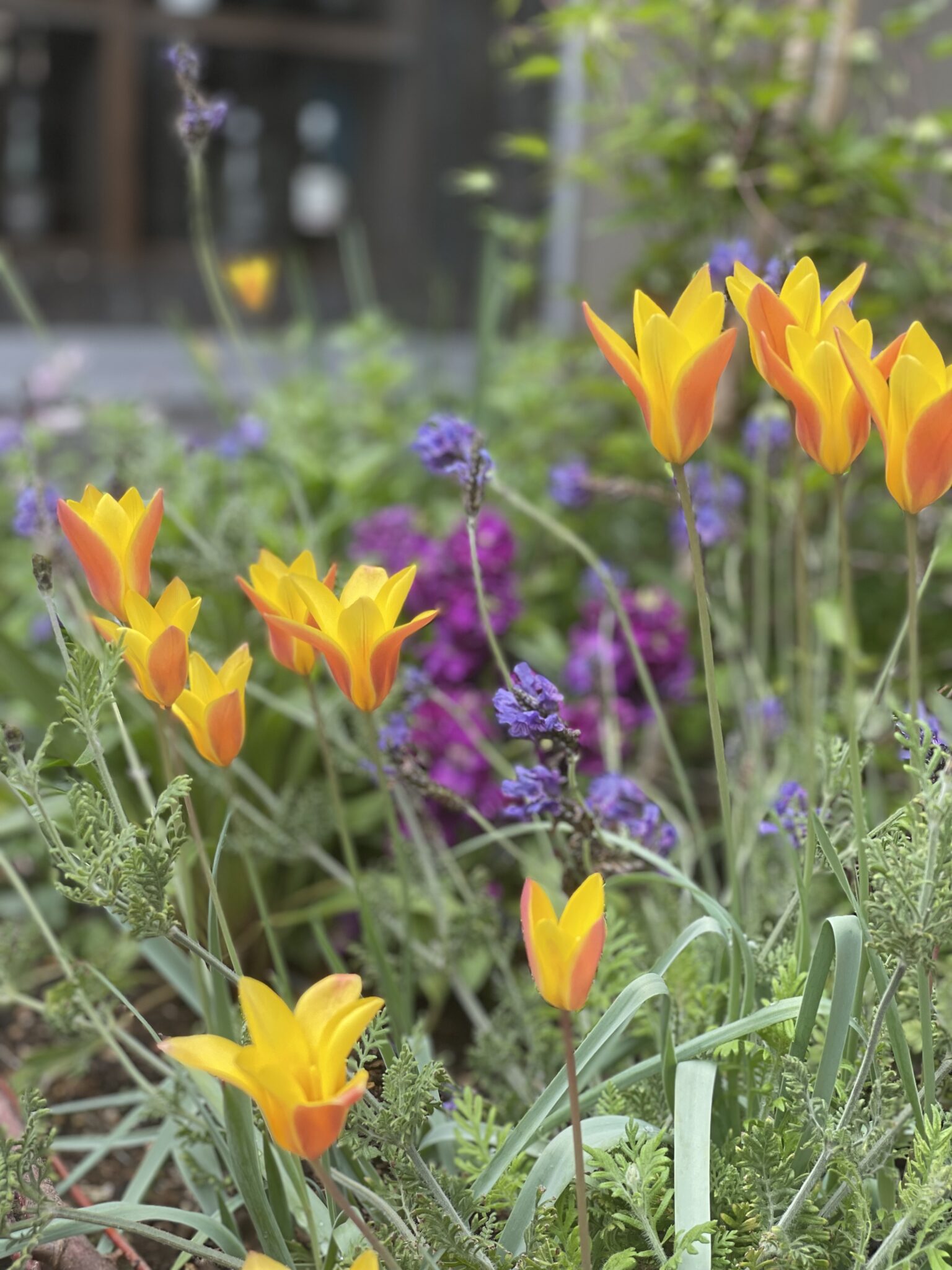 お知らせ/INFORMATION – Cafe&Bar poco rit. ポコリット